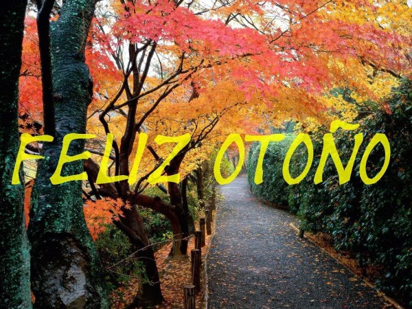 Imágenes bonitas de Hola Otoño, Bienvenido Otoño 