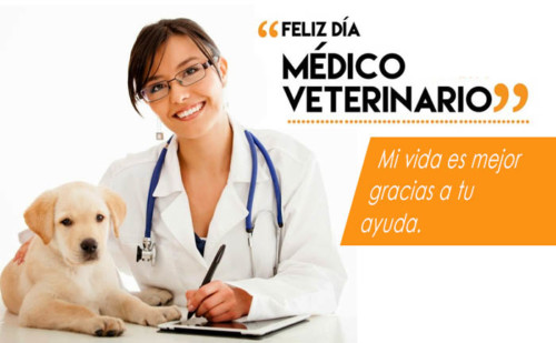 veterinariofelizfrase13