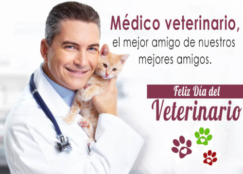 veterinariofrase12