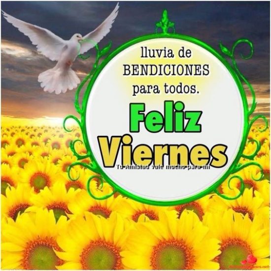 Mejores 50 Imágenes De Feliz Viernes Para Saludar Y Compartir Mejores Imágenes